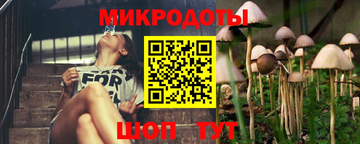 Галлюциногенные грибы MAGIC MUSHROOMS  Вход с VPN  Северск 